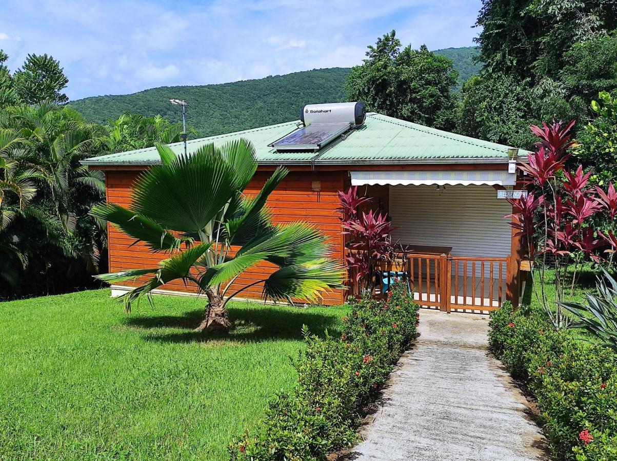 Le Tri Haut De Bellevue - Bungalow Colibri Pointe-Noire Eksteriør billede