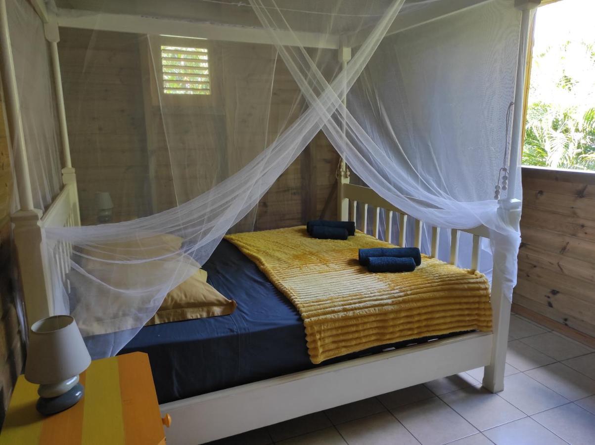 Le Tri Haut De Bellevue - Bungalow Colibri Pointe-Noire Eksteriør billede